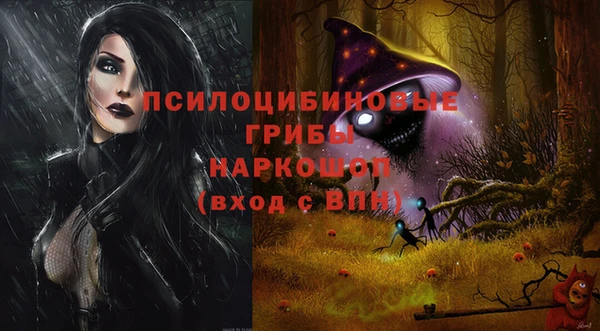 стаф Беломорск