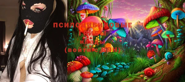 СК Белокуриха