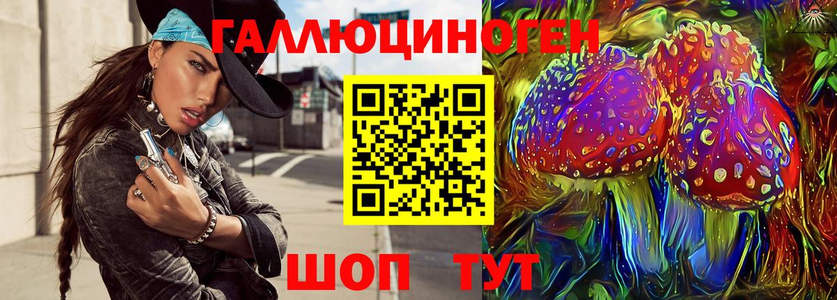 Галлюциногенные грибы мухоморы  Бугульма  Галлюциногенные грибы Psilocybine cubensis 