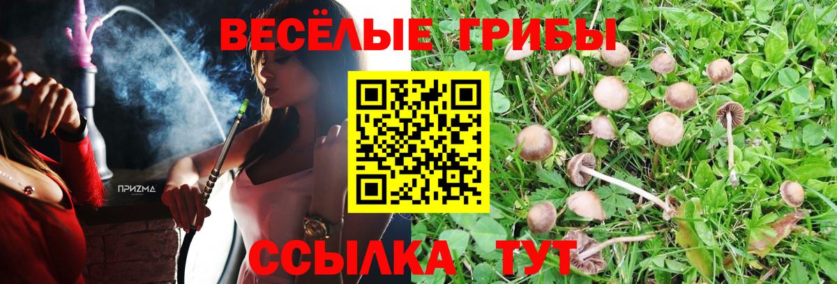 Бугульма  где продают   Вход с VPN  Галлюциногенные грибы MAGIC MUSHROOMS  Галлюциногенные грибы Cubensis 